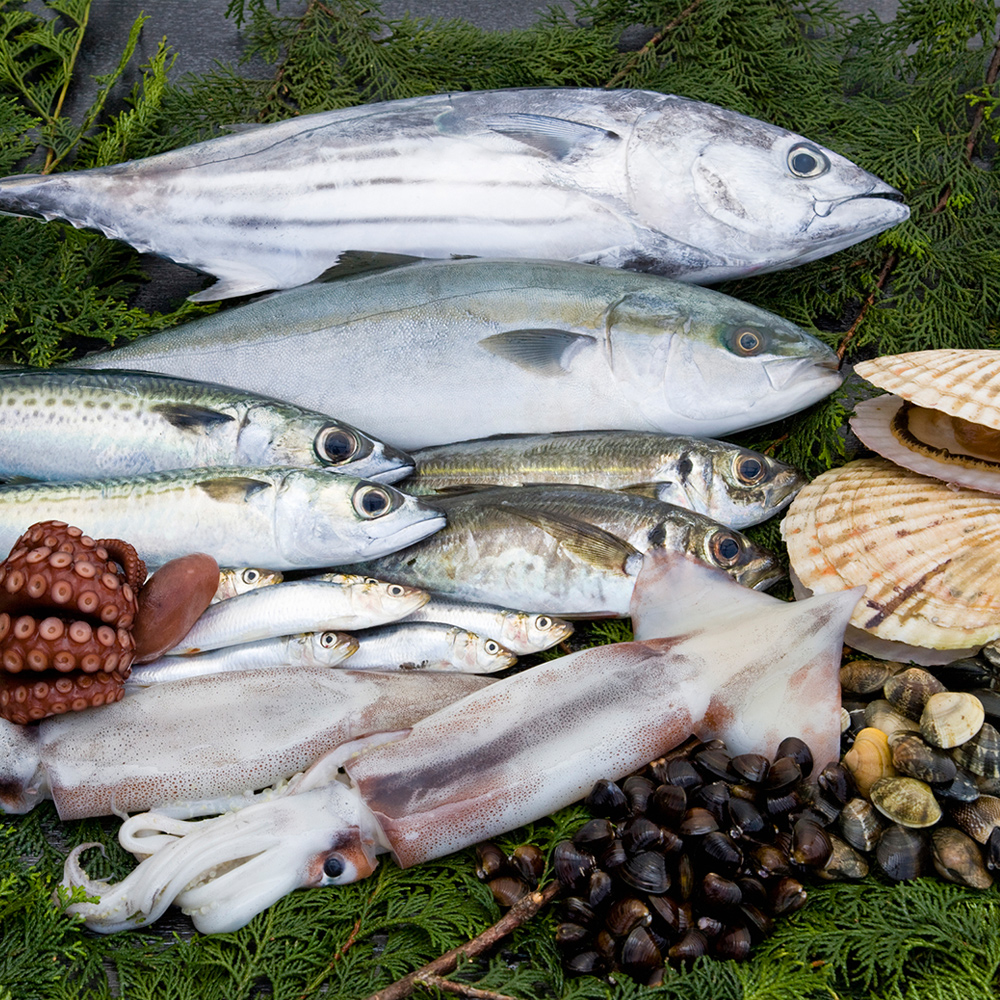 お魚はこだわりの天然物のみを使用